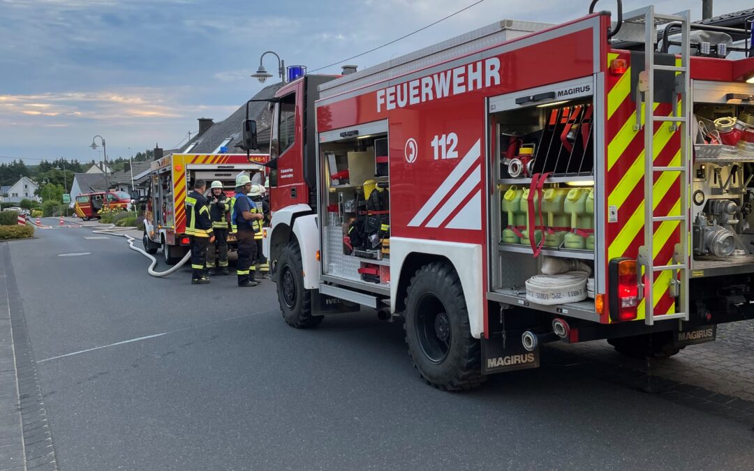 Einsatz 16/2022 Heckenbrand