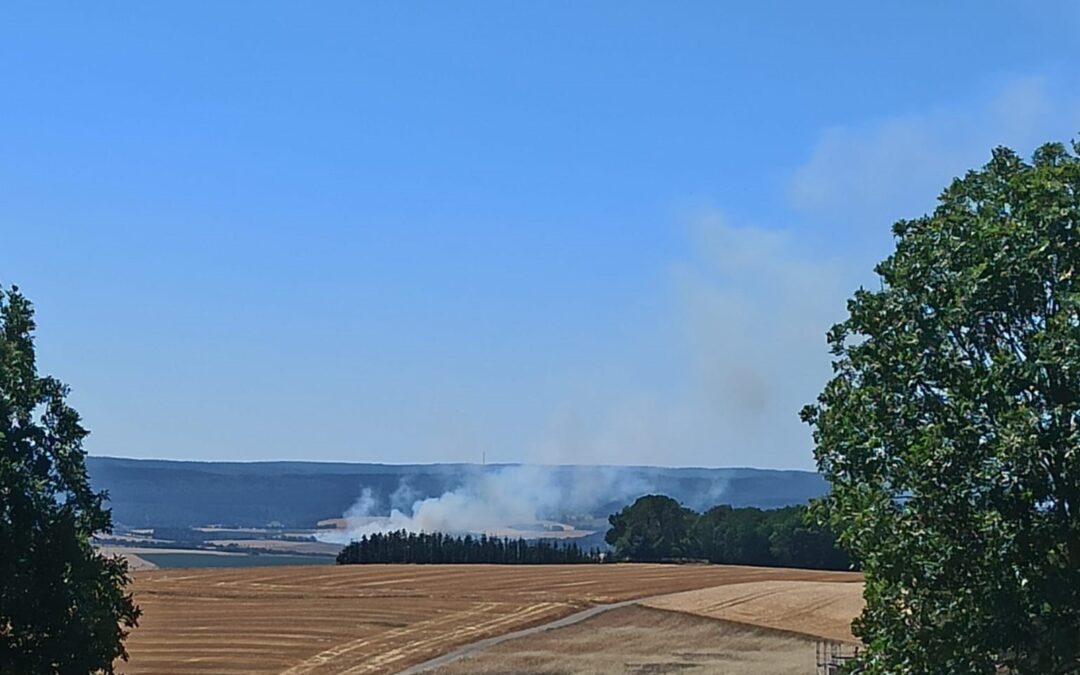 Einsatz 20/2022 Flächenbrand groß