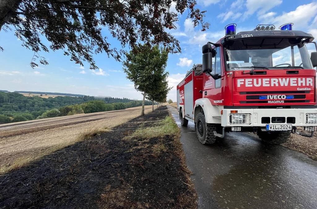 Einsatz 21/2022 Flächenbrand groß