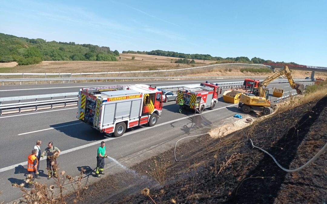 Einsatz 24/2022 Flächenbrand groß