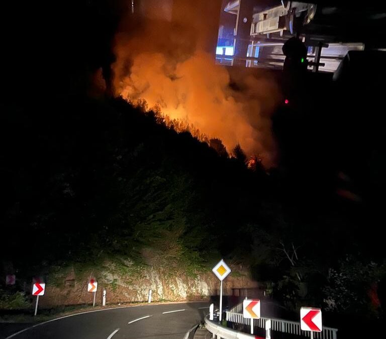 Einsatz 28/2022 Waldbrand in Kautenbach