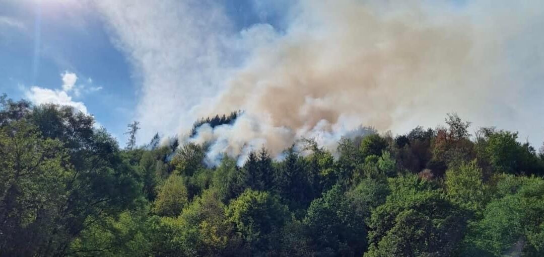 Einsatz 29/2022 Waldbrand in Kautenbach