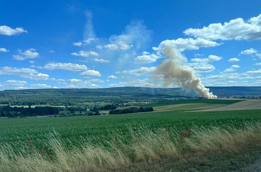 Einsatz 17/2023 Flächenbrand groß in Bischofsdhron