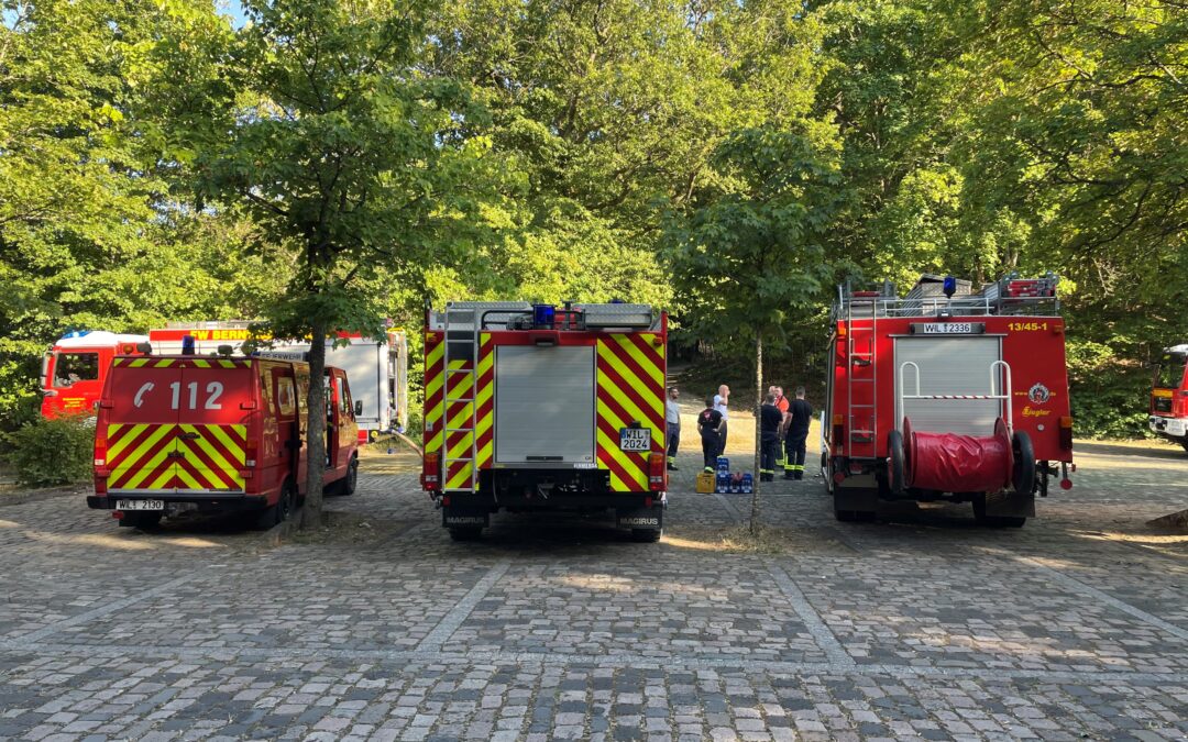 Einsatz 18/2023 Waldbrand nähe der Burg Landshut