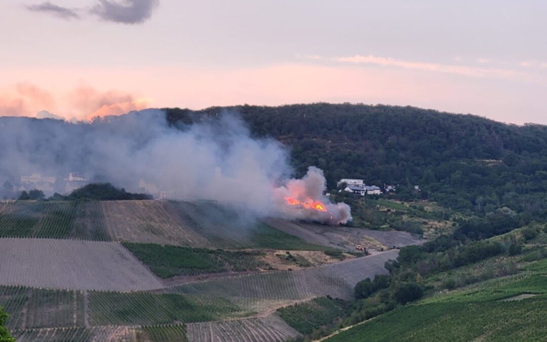 Einsatz 19/2023 Flächenbrand groß in Graach