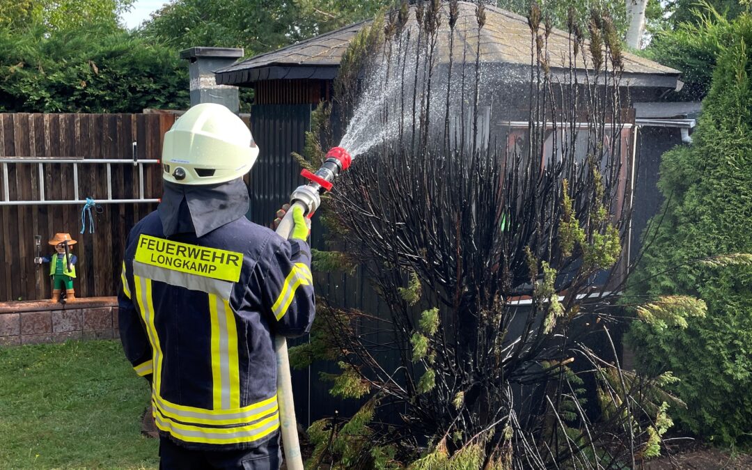 Einsatz 21/2023 B1 Heckenbrand in Longkamp