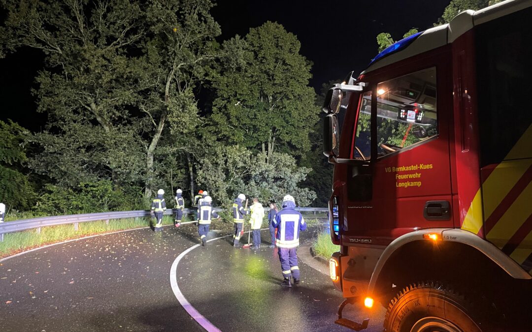 Einsatz 20/2024 – umgestürzter Baum auf der L187